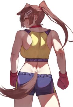 animal_ears boxing_gloves boxing_shorts brown_eyes brown_hair collar dog_ears dog_girl dog_tail hololive inugami_korone shorts tail tank_top theflatfacadeds