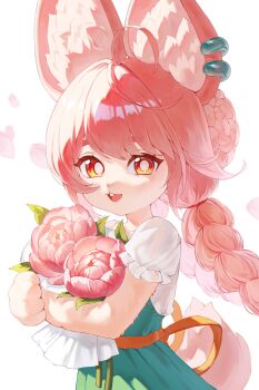 1girl absurdres animal_ear_fluff animal_ears braid bright_pupils commentary dress flower furry furry_female heart heart_in_eye highres holding holding_flower long_hair looking_at_viewer open_mouth pink_flower pink_hair rabbit_ears rabbit_girl rabbit_tail red_eyes simple_background solo symbol-only_commentary symbol_in_eye tail twin_braids upper_body very_long_hair white_background white_pupils yamisroot zenless_zone_zero zhao_(zenless_zone_zero)