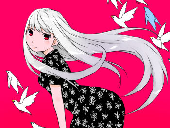 1girl bird bird_type_girl_system color_background dress female_focus floral_print flying java_sparrow kari_(kakko_k) long_hair original print_dress red_eyes simple_background smile solo sparrow very_long_hair white_hair white_java_sparrow white_java_sparrow_(bird_type_girl_system)