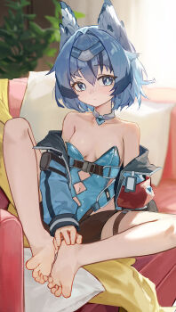 1girl absurdres animal_ears barefoot blue_eyes blue_hair breasts feet haimaotuanzi highres jacket leotard looking_at_viewer original sitting small_breasts solo toes