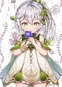 1girl absurdres bare_shoulders bracelet commentary cowboy_shot cross-shaped_pupils detached_sleeves dress flower genshin_impact gold_trim gradient_hair green_hair green_sleeves greenery_day hair_between_eyes hair_ornament hands_up haneshuu_rie highres holding holding_flower jewelry leaf_hair_ornament long_hair multicolored_hair nahida_(genshin_impact) own_hands_together pointy_ears purple_flower side_ponytail sleeveless sleeveless_dress solo sumeru_rose_(genshin_impact) symbol-shaped_pupils white_background white_dress white_hair