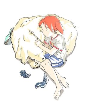 Rule 34 | 1girl, azumanga daiou, barefoot, black socks, blue shorts, book, closed eyes, dog, feet, kozuehikaru, lying, mihama chiyo, on side, open book, red hair, shirt, short twintails, shorts, simple background, sleeping, socks, tadakichi-san, toes, twintails, unworn socks, white background, white fur, white shirt