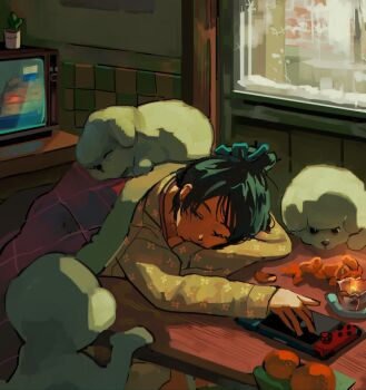1girl black_hair blanket closed_eyes commentary_request food fruit hair_ornament hairclip highres indoors long_sleeves mandarin_orange myango_(applemangocrape) nintendo_switch orange_(fruit) orange_slice original pajamas poodle print_shirt shirt sleeping slice_of_life solo table television window