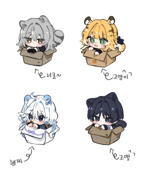 acorn ahoge animal_ears animal_print aqua_eyes black_eyes black_gloves black_hair black_sleeves blonde_hair blue_eyes blue_hair blue_sleeves blunt_bangs blunt_ends blush bow box brown_hair cardboard_box cat_boy cat_girl cat_print cat_tail choppy_bangs colored_inner_hair fang food_print fruit_print furina_(genshin_impact) genshin_impact gimmunyag gloves grey_hair hair_between_eyes hair_intakes heart heart_print heterochromia highres honkai:_star_rail honkai_(series) in-franchise_crossover in_box in_container ju_fufu korean_text layered_sleeves long_hair looking_to_the_side multicolored_hair no_mouth open_mouth orange_print purple_bow purple_eyes raccoon_ears raccoon_tail scaramouche_(genshin_impact) shirt sparkling_eyes squirrel_ears squirrel_girl stelle_(honkai:_star_rail) streaked_hair swept_bangs tail tail_bow tail_ornament tiger_ears tiger_girl tiger_tail trailblazer_(honkai:_star_rail) translation_request wanderer_(genshin_impact) white_background white_hair white_sleeves yellow_eyes yellow_pupils yellow_shirt zenless_zone_zero