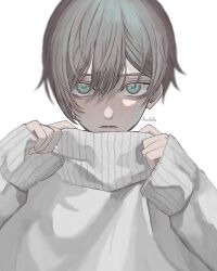 Rule 34 | 1boy, absurdres, blue eyes, commentary request, highres, kuleha s, looking at viewer, male focus, original, short hair, signature, simple background, solo, sweater, white background