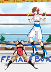 Rule 34 | 2girls, blood, boxing, boxing gloves, boxing ring, catfight, defeat, multiple girls, santos, unconscious