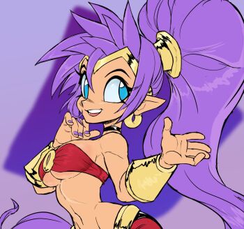 Rule 34 | arms up, breasts, choker, circlet, cleft of venus, dark-skinned female, dark skin, earrings, genie, gold earrings, highres, hoop earrings, jewelry, large breasts, long hair, looking to the side, midriff, navel, pointy ears, ponytail, purple eyes, purple hair, shantae, shantae (series), sideboob, teevo, underboob, wrist cuffs