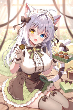 Rule 34 | 1girl, :d, aina rive, animal ear fluff, animal ears, antenna hair, blue eyes, blue hair, blush, bow, bowtie, box, box of chocolates, breasts, brown bow, brown bowtie, brown skirt, cat ears, cat girl, cat tail, collared shirt, commentary, crossed bangs, feet out of frame, frilled gloves, frilled skirt, frills, gloves, hair between eyes, hair intakes, heterochromia, highres, large breasts, long hair, looking at viewer, maid headdress, mauve, open mouth, original, shirt, short sleeves, sitting, skirt, smile, solo, striped bow, striped bowtie, striped clothes, tail, white gloves, white shirt, yellow eyes