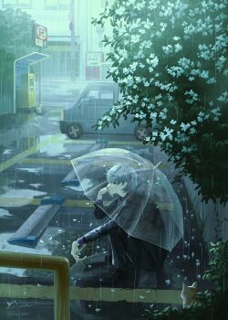 1boy absurdres black_jacket black_pants bush ca_mei falling_petals flower full_body fuwa_minato fuwa_minato_(2nd_costume) grey_hair hair_between_eyes hashtag-only_commentary head_rest highres holding holding_umbrella jacket long_sleeves male_focus motor_vehicle multicolored_hair nijisanji outdoors pants parking_lot petals rain short_hair solo squatting streaked_hair transparent transparent_umbrella truck umbrella virtual_youtuber white_flower white_petals