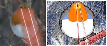 animal_focus animated animated_gif bird border bouncing flipnote_studio_(medium) keke_(kokorokeke) laser laser looping_animation no_humans original photo_inset reference_inset white_border