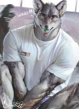 1boy animal_ears artist_name bara body_fur bounsies brown_eyes candy commentary english_commentary fangs food furry furry_male grey_fur highres looking_at_viewer male_focus muscular muscular_male open_mouth original shirt sitting solo tail tail_wagging thick_eyebrows tongue tongue_out white_shirt wolf_boy wolf_ears wolf_tail