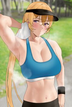 1girl arm_behind_head arm_up armpits bad_id bad_pixiv_id black_hat black_pants blonde_hair blue_sports_bra blurry blurry_background blush breasts breath cleavage crossed_bangs exercising grass hair_between_eyes hat highres holding holding_towel large_breasts long_hair looking_to_the_side midriff nakiri_erina navel outdoors pants ponytail purple_eyes revision rinrin_(user_tvcf4347) shokugeki_no_souma skindentation solo sports_bra steaming_body stomach sweat towel tree upper_body visor_cap wiping_sweat wristband