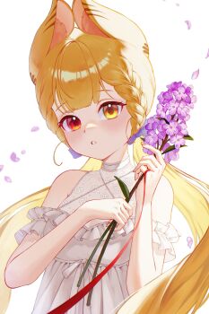 1girl absurdres alice_thymefield alternate_costume animal_ear_fluff animal_ears bare_shoulders blonde_hair commentary dress falling_petals flower frilled_dress frills heterochromia highres holding holding_flower long_hair looking_at_viewer nail_polish parted_lips petals pink_flower rabbit_ears rabbit_girl red_eyes simple_background sleeveless sleeveless_dress solo symbol-only_commentary twintails upper_body white_background white_dress yamisroot yellow_eyes zenless_zone_zero