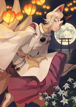 Rule 34 | 1boy, absurdres, animal ears, asagiri gen, black eyes, black hair, dr. stone, facial mark, floating, flower, fox boy, fox ears, fox tail, full moon, hakama, highres, ichihara yuuto, japanese clothes, kariginu, kimono, kitsune, lantern, lily (flower), long sleeves, looking at viewer, male focus, miko, moon, multicolored hair, multiple tails, night, night sky, paper lantern, parted lips, pom pom (clothes), red hakama, ribbon-trimmed sleeves, ribbon trim, sandals, short hair, sky, sky lantern, sleeves past fingers, sleeves past wrists, solo, split-color hair, tabi, tail, torii, two-tone hair, water, white flower, white hair, white lily, wide sleeves