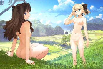 2girls ahoge aqua_eyes artistic_nudity artoria_pendragon_(fate) ass back bare_legs bare_shoulders blonde_hair blue_eyes blue_sky bow breasts breasts_apart brown_hair butt_crack cleft_of_venus cloud fate/stay_night fate/unlimited_codes fate_(series) female_focus field grass hair_bow hair_ribbon hand_in_own_hair hill house long_hair long_legs looking_at_viewer looking_back medium_breasts mountain multiple_girls nipples nude outdoors ponytail power_lines profile pussy ribbon saber_(fate) saber_lily scenery shadow sideways_mouth sitting sky small_areolae small_breasts small_nipples standing takeuchi_takashi third-party_edit tohsaka_rin tree twintails two_side_up uncensored utility_pole well zenra