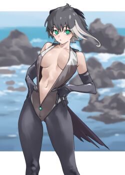 1girl aqua_eyes bare_shoulders bird_tail blurry blurry_background bodysuit breasts breasts_apart character_request commentary_request cowboy_shot diving_suit elbow_gloves gloves grey_hair hands_on_own_hips highres kemono_friends large_breasts multicolored_hair navel ocean parted_lips rock solo stomach tail tanabe_(fueisei) two-tone_hair unzipped water wetsuit white_hair