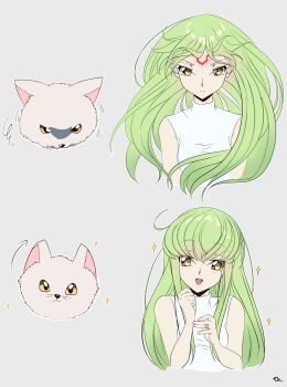 1girl :d absurdres arrow_(symbol) blush breasts budgiepon c.c. closed_mouth code_geass colored_sclera cropped_torso dress floating_hair fluffy_white_puppy_expressions_(meme) geass green_hair grey_background hair_between_eyes happy highres long_hair looking_at_viewer medium_breasts meme multiple_views open_mouth serious shirt sidelocks signature simple_background sleeveless sleeveless_shirt smile sparkle squiggle upper_body v-shaped_eyebrows very_long_hair white_dress yellow_eyes yellow_sclera