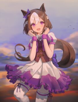 1girl absurdres animal_ears bird blush bow braid brown_hair cloud cropped_jacket dio_dio ear_bow ear_ribbon half_up_braid highres horse_ears horse_girl horse_tail jacket looking_at_viewer multicolored_hair open_mouth outdoors purple_bow purple_eyes purple_ribbon purple_vest ribbon shirt short_hair short_sleeves skirt sky smile special_week_(special_dreamer)_(umamusume) special_week_(umamusume) tail thighhighs two-tone_hair umamusume vest white_hair white_shirt white_skirt white_thighhighs
