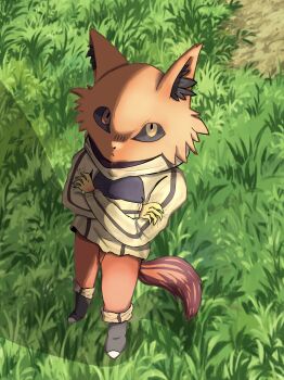 1girl absurdres closed_mouth crossed_arms fox_girl from_above full_body furry furry_female grimms_notes highres kung_fu_villain_(grimms_notes) solo standing user_hwkm5248 yellow_eyes