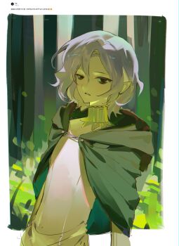 1boy absurdres bags_under_eyes black_eyes border bunhong_(pinkpink_shine) cloak dungeon_meshi elf gorget green_cloak grey_hair highres hood hooded_cloak korean_text lazy_eye long_sleeves looking_at_viewer male_focus mithrun notched_ear parted_lips pointy_ears shirt short_hair solo translation_request uneven_eyes upper_body wavy_hair white_border