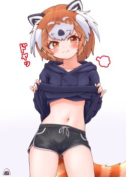 1girl :3 black_hair black_shorts blue_hoodie blue_sweater blush clothes_lift collarbone cowboy_shot dolphin_shorts extra_ears hair_between_eyes highres hood hood_down hoodie kemono_friends midriff multicolored_hair nail_polish navel orange_eyes orange_hair piki_(zuru-pikio) pink_nails puff_of_air red_panda_(kemono_friends) red_panda_ears red_panda_girl red_panda_tail short_shorts shorts sidelocks smile solo sweater sweater_lift white_hair white_trim