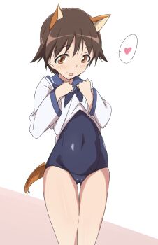 1girl :p animal_ears blue_one-piece_swimsuit brown_eyes brown_hair cleft_of_venus commentary_request covered_navel heart highres long_sleeves looking_at_viewer miyafuji_yoshika navel one-piece_swimsuit pink_background pussy school_swimsuit short_hair solo spoken_heart standing strike_witches swimsuit swimsuit_under_clothes thighs tongue tongue_out two-tone_background umanosuke white_background world_witches_series