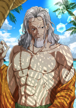 Rule 34 | 1boy, abs, beard, blue sky, closed mouth, commentary request, facial hair, glasses, grey hair, highres, male focus, musasabiop, muscular, muscular male, mustache stubble, nipples, old, old man, one piece, palm tree, round eyewear, scar, scar across eye, scar on arm, scar on chest, scar on face, silvers rayleigh, sky, solo, stitched torso, stitches, stubble, tree