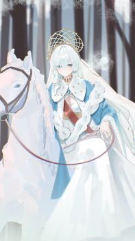 1girl absurdres anastasia_(fate) blue_cloak blue_eyes breasts chinese_commentary cleavage cleavage_cutout cloak clothing_cutout commentary_request dress e-razor fate/grand_order fate_(series) hair_between_eyes hair_over_one_eye highres horse jewelry long_dress long_hair looking_at_viewer multicolored_cloak nature on_animal outdoors sitting_on_animal solo tiara tree two-tone_cloak veil white_cloak white_dress white_hair white_veil winter yellow_tiara
