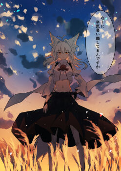 1girl absurdres animal_ears black_gloves black_panties black_skirt brown_eyes clothing_cutout cloud cloudy_sky commentary cropped_shirt detached_sleeves full_body gloves hair_intakes half_gloves hand_on_own_hip highleg highleg_panties highres inubashiri_momiji kakaricho_dairi looking_at_viewer medium_hair medium_skirt midriff navel outdoors panties shirt side_cutout skirt sky sleeveless sleeveless_shirt solo standing tail touhou translated turtleneck turtleneck_shirt twilight underwear wheat white_hair white_shirt white_sleeves wind wolf_ears wolf_girl wolf_tail