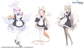 3girls absurdres alternate_costume alternate_hairstyle animal_ears apron black_dress black_pantyhose black_shoes blonde_hair blue_archive blue_bow blue_flower blush bottle bow breasts closed_mouth commentary_request cup dessert detached_collar dress feathered_wings flower food forehead fox_ears fox_girl fox_tail full_body hair_between_eyes hair_ornament hair_scrunchie halo high_heels highres holding holding_bottle holding_cup holding_plate holding_teapot ketchup_bottle korean_commentary large_breasts long_hair long_sleeves looking_at_viewer maid maid_apron maid_headdress mika_(blue_archive) misyune multiple_girls nagisa_(blue_archive) official_art omelet omurice open_mouth pantyhose pink_eyes pink_hair plate ponytail purple_halo scrunchie seia_(blue_archive) shoes sidelocks sleeves_past_fingers sleeves_past_wrists striped_clothes striped_thighhighs tail teacup teapot thighhighs twintails two_side_up vertical-striped_clothes vertical-striped_thighhighs white_flower white_pantyhose white_scrunchie white_shoes white_thighhighs white_wings wings yellow_eyes yellow_halo