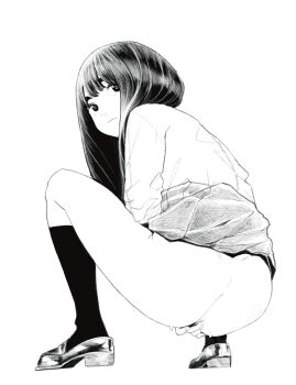 1girl aniche82 commentary_request from_behind full_body greyscale highres korean_commentary loafers long_hair long_sleeves looking_at_viewer looking_back monochrome original pleated_skirt school_uniform shirt shoes skirt socks solo squatting white_background