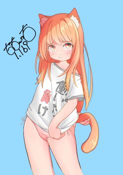 1girl :/ animal_ear_fluff animal_ears arm_behind_back artist_name bikini blue_background blush brown_hair cat_ears cat_girl cat_tail clothes_pull commentary_request cowboy_shot dot_nose embarrassed hand_on_own_tail highres long_hair looking_at_viewer orange_eyes original print_shirt shirt shirt_pull shirt_slip side-tie_bikini_bottom sidelocks signature simple_background solo swimsuit tail thighs totomoto white_shirt