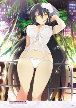 1girl ahoge armband bare_shoulders black_hair blush bow bow_panties breasts bridal_lingerie city city_lights cityscape closed_mouth corset flower frilled_armband frills gluteal_fold groin hair_between_eyes hair_flower hair_ornament highres hyoki_(senran_kagura) lens_flare light_particles lingerie long_hair looking_at_viewer night night_sky non-web_source official_art outdoors palm_leaf palm_tree panties railing rose see-through_clothes senran_kagura senran_kagura_new_wave shiny_skin sky slit_pupils solo sparkle star_(sky) starry_sky tree underwear very_long_hair water_drop wet wet_clothes wet_panties white_corset white_flower white_panties white_rose window yellow_eyes