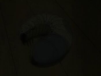 1girl animated animated_gif anime_screenshot anus arms_behind_head bdsm bondage bottomless bound bound_legs bound_wrists breasts breasts_out brown_eyes brown_hair cleave_gag cloth_gag female_focus female_pubic_hair floor frogtie gag gagged hair_ornament hair_ribbon improvised_gag indoors kurohime_(spd) larva lowres medium_hair navel nipples no_bra no_panties object_insertion on_floor open_clothes open_shirt pubic_hair pussy ribbon rope shirt sitting striped_clothes striped_thighhighs thighhighs twintails uncensored vaginal vaginal_object_insertion worm wrists_tied_together yukimura_sayaka