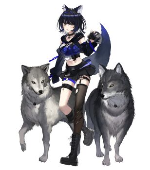 1girl animal_ear_piercing animal_ears arm_up armpit_crease asymmetrical_legwear belt belt_collar black_belt black_collar black_gloves black_hair black_nails black_shorts black_skirt black_sleeves black_thighhighs black_vest blue_bustier blue_eyes blue_hair blue_nails blush boots breasts brown_eyes buckle bustier claw_pose collar collarbone colored_inner_hair cropped_vest detached_sleeves fingerless_gloves full_body gloves grey_boots hair_intakes head_tilt highres jewelry lace-up_boots leg_up looking_at_viewer loose_thighhigh lower_teeth_only medium_breasts midriff miniskirt multicolored_eyes multicolored_hair multicolored_nails nail_polish navel necklace o-ring o-ring_thigh_strap oboro_koma official_art open_mouth pendant_collar piercing short_hair short_shorts shorts shorts_under_skirt simple_background skirt sleeves_past_wrists snap-fit_buckle solo specialite_(company) standing standing_on_one_leg tail tail_raised teeth thigh_strap thighhighs tongue_piercing torn_clothes torn_shorts torn_thighhighs transparent_background turning_head uneven_legwear very_long_fingernails vest virtual_youtuber wata_(attaka_towel) white_hair wolf wolf_ears wolf_girl wolf_tail