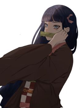 1girl bit_gag black_hair blue_eyes blunt_bangs boruto:_two_blue_vortex brown_coat coat commentary_request corrupted_twitter_file cosplay facial_mark from_side gag hair_ribbon highres ifevilwhyuhot japanese_clothes kamado_nezuko kamado_nezuko_(cosplay) kimetsu_no_yaiba kimono long_hair looking_at_viewer naruto_(series) obi pink_kimono ribbon sash solo upper_body uzumaki_himawari whisker_markings wide_sleeves