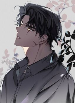 1boy black_hair black_shirt branch collared_shirt curtained_hair expressionless head_tilt highres hinizana looking_to_the_side male_focus omniscient_reader&#039;s_viewpoint parted_lips scar scar_across_eye scar_on_face secretive_plotter shirt short_hair sidelighting solo yellow_eyes yoo_joonghyuk