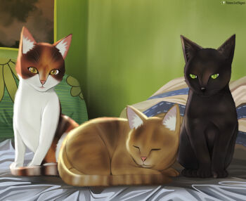 3animals 3cats absurdres animal animal_focus artist_name bad_tag bed calico_(pattern) calico_cat cat closed_mouth commission commissioner_upload green_eyes highres indoors looking_at_viewer lori_hagami multiple_animals multiple_cats no_humans on_bed original pillow real_life sitting sleeping slit_pupils tabby_cat tortoiseshell_cat watermark web_address yellow_eyes