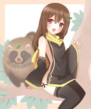 1girl :d absurdres animal bare_shoulders black_dress black_sleeves black_thighhighs blush border brown_border brown_hair detached_sleeves dress hair_between_eyes hair_ornament highres in_tree leaf leaf_hair_ornament leaf_on_head long_hair long_sleeves looking_at_viewer naked_tabard ninja no_panties non_(wednesday-classic) open_mouth original outside_border purple_eyes revision scarf sitting sitting_in_tree sleeveless sleeveless_dress sleeves_past_wrists smile solo tabard tanuki thighhighs tree white_background wide_sleeves yellow_scarf