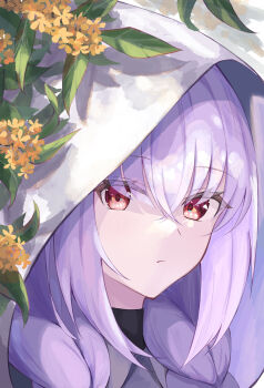 1girl absurdres atsuko_(blue_archive) blue_archive braid close-up closed_mouth commentary flower hair_between_eyes highres hood hood_up hooded_jacket jacket kuronagasu_ir long_hair looking_at_viewer low_twin_braids purple_hair red_eyes solo twin_braids white_hood white_jacket yellow_flower