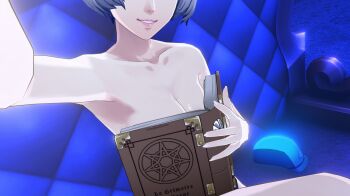 boobs_in_book_(meme) book covering_breasts covering_privates elizabeth_(persona) hat nude out_of_frame outstretched_arm persona persona_3 smile stealballsrun tagme taking_picture unworn_hat unworn_headwear