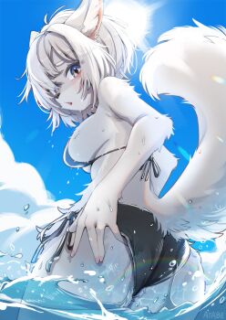 1girl animal_ears animal_nose ass bikini black_bikini blue_sky body_fur breasts cloud day dog_ears dog_girl dog_tail from_behind furry furry_female hand_on_own_ass highres looking_back misotsuki_ayabe original partially_submerged purple_eyes rainbow side-tie_bikini_bottom sky solo sun swimsuit tail water wet white_fur white_hair