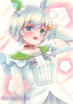 Rule 34 | 1girl, absurdres, animal ears, blue eyes, blush, breasts, brown choker, choker, collarbone, ear covers, flower, green sailor collar, grey hair, hair between eyes, hair flower, hair ornament, hairclip, highres, horse ears, horse girl, long sleeves, looking at viewer, marker (medium), mimikuro, open mouth, sailor collar, seiun sky (reeling in the big one) (umamusume), seiun sky (umamusume), shirt, short hair, single ear cover, small breasts, smile, solo, sunflower, sunflower hair ornament, traditional media, umamusume, upper body, white shirt