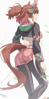 1girl absurdres ahoge animal_ears ass brown_hair dantsu_flame_(umamusume) from_behind highres horse_ears horse_girl horse_tail open_mouth pink_shorts profnote shorts smile solo tail umamusume