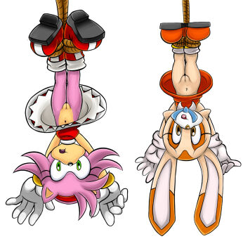 2girls amy_rose brown_eyes cream_the_rabbit green_eyes highres loli multiple_girls pussy sonic_(series) upskirt