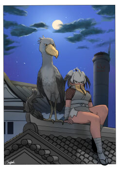 Rule 34 | arm wrap, bird, bird girl, bird tail, bird wings, black hair, commentary request, dark-skinned female, dark skin, fishnet top, fishnets, full moon, green eyes, grey hair, grey kimono, hair between eyes, head wings, highres, japanese clothes, john (a2556349), kemono friends, kemono friends 3, kimono, leg wrap, moon, multicolored hair, night, night sky, rooftop, sandals, shoebill, shoebill (ex) (kemono friends), short hair, short kimono, sidelocks, sky, sleeveless, star (sky), tail, turtleneck, wings
