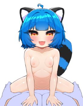 1boy 1girl absurdres ahoge animal_ears blue_hair breasts chromashift completely_nude heart hetero highres loli navel nipples nude open_mouth poko_rakun raccoon_ears raccoon_tail ryoshi small_breasts tail variant_set virtual_youtuber