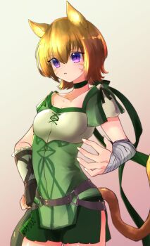 1girl animal_ears belt breasts cat_ears cat_girl cat_tail choker cleavage collar collarbone commentary facepaint facial_mark fire_emblem fire_emblem:_path_of_radiance fire_emblem:_radiant_dawn green_choker green_collar green_shorts hair_between_eyes hand_guard hand_on_own_hip highres laguz_(fire_emblem) lethe_(fire_emblem) medium_breasts medium_hair nintendo o-ring o-ring_belt orange_hair orange_tail purple_eyes shorts side_slit side_slit_shorts slit_pupils solo studio_sugimoto tail thighs untranslatable_commentary whisker_markings wrist_wrap