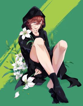 1boy black_coat black_shirt black_shorts black_socks brown_hair coat commentary_request crew_neck crossed_ankles flower full_body green_eyes hair_between_eyes highres hood hood_up hooded_coat kotobuki_reiji leaf looking_at_viewer male_focus nail_polish open_mouth parted_bangs plant round_teeth shirt shorts socks solo teeth upper_teeth_only uta_no_prince-sama white_flower xue_ezi