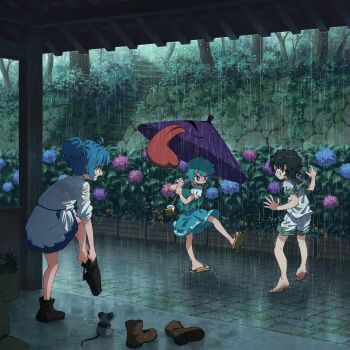 3girls :p absurdres barefoot blue_eyes blue_flower blue_hair blue_vest boots brown_boots dress flip-flops flower green_hair grin heterochromia highres holding holding_umbrella hydrangea juliet_sleeves karakasa_obake kumoi_ichirin long_sleeves missing_headwear mouse_(animal) multiple_girls murasa_minamitsu outdoors pink_flower pointy_ears puffy_short_sleeves puffy_sleeves purple_umbrella rain red_eyes sandals shirt short_sleeves shorts smile stairs suteruko tatara_kogasa toes tongue tongue_out touhou tree umbrella unworn_boots vest wet wet_clothes wet_shirt wet_shorts white_dress white_shirt white_shorts